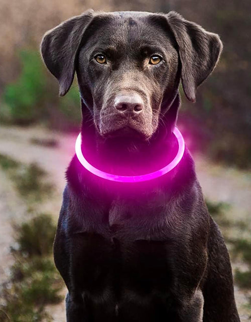 Load image into Gallery viewer, LED Dog Collar, USB Rechargeable Light up Dog Collars, TPU Cuttable Light Dog Necklace Glow in the Dark (Pink)
