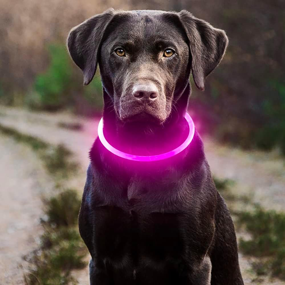 LED Dog Collar, USB Rechargeable Light up Dog Collars, TPU Cuttable Light Dog Necklace Glow in the Dark (Pink)