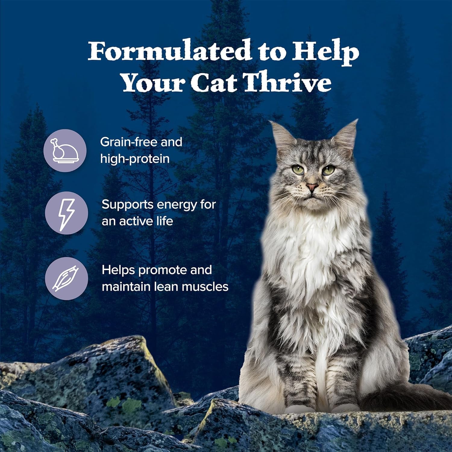 Wilderness High Protein Grain Free, Natural Adult Pate Wet Cat Food