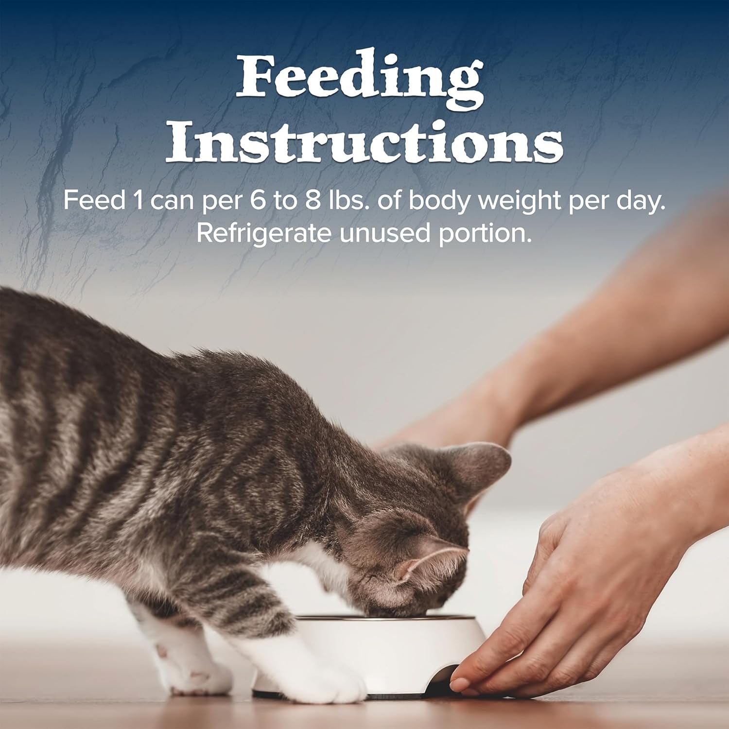 Wilderness High Protein Grain Free, Natural Adult Pate Wet Cat Food