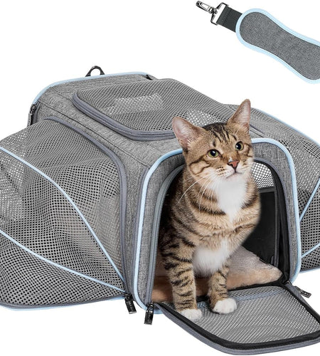Expandable Cat Carriers Airline Approved, 16"X10"X9" Small Dog Carrier Soft-Sided Portable Washable Pet Travel Carrier with Two Extension for Kitten,Rabbit, Puppy, Small Animal