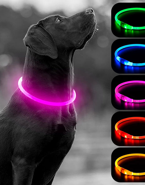 Load image into Gallery viewer, LED Dog Collar, USB Rechargeable Light up Dog Collars, TPU Cuttable Light Dog Necklace Glow in the Dark (Pink)

