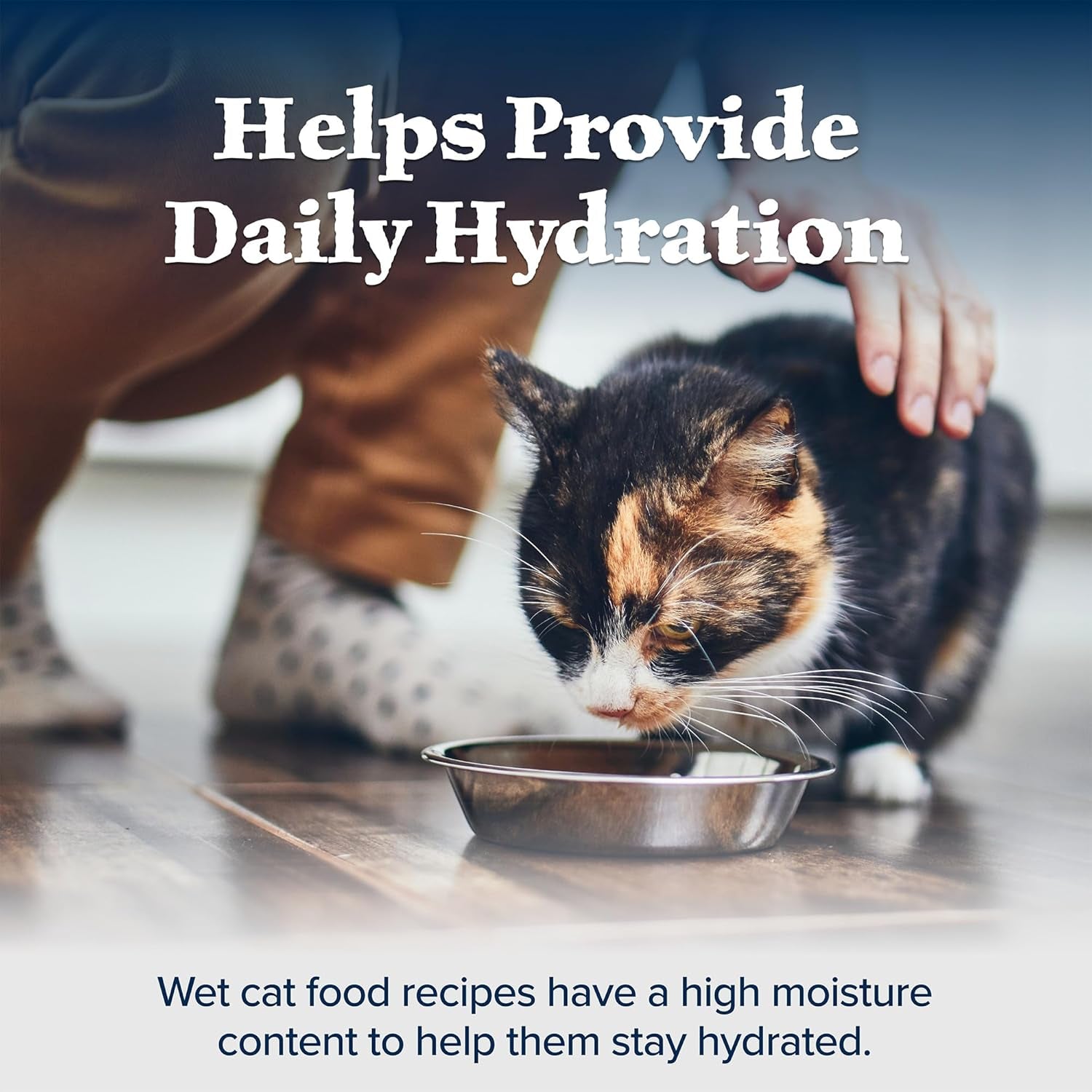 Wilderness High Protein Grain Free, Natural Adult Pate Wet Cat Food