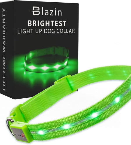 ' Safety LED Dog Collar – USB Rechargeable with Water Resistant Flashing Light