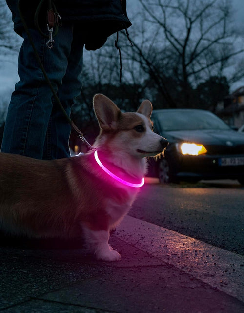 Load image into Gallery viewer, LED Dog Collar, USB Rechargeable Light up Dog Collars, TPU Cuttable Light Dog Necklace Glow in the Dark (Pink)
