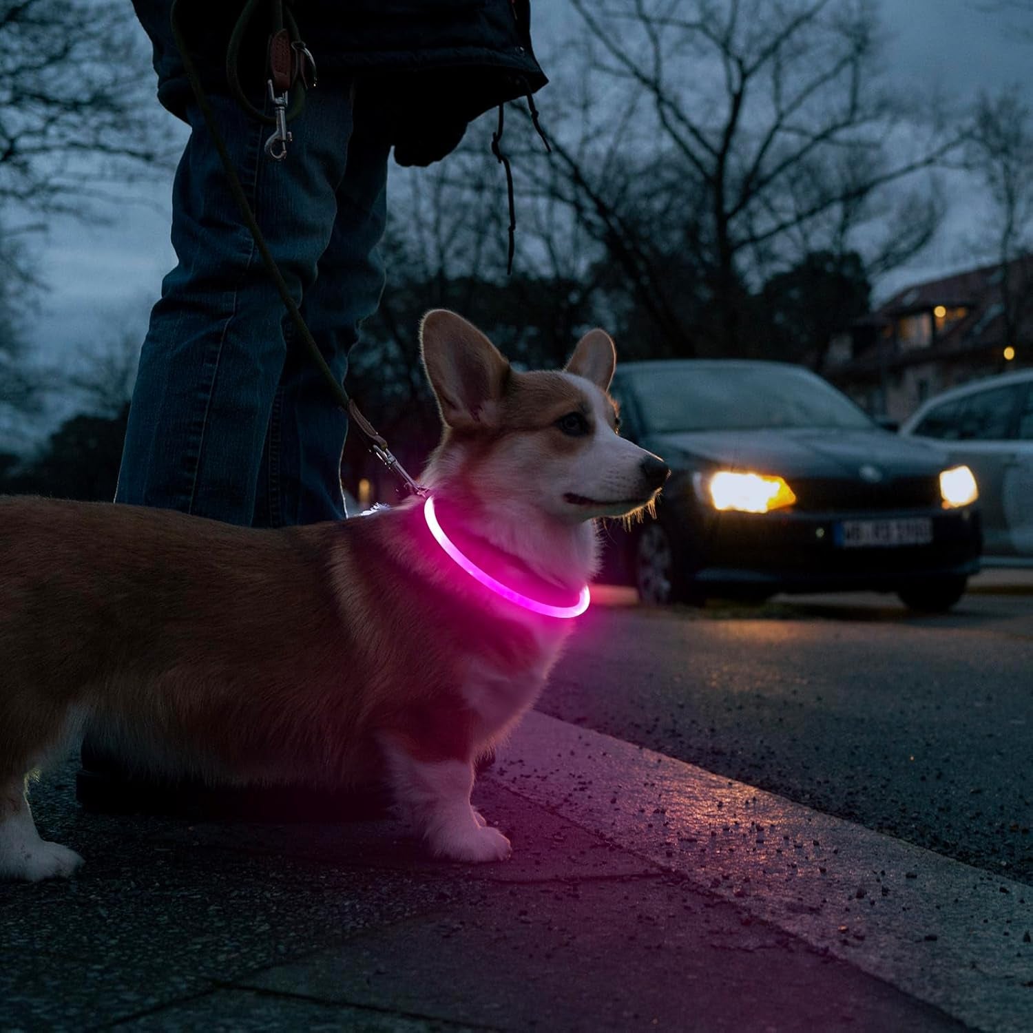LED Dog Collar, USB Rechargeable Light up Dog Collars, TPU Cuttable Light Dog Necklace Glow in the Dark (Pink)
